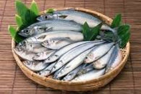 FESTA DEL PESCE CESENATICO